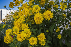 Image00017_1200h800