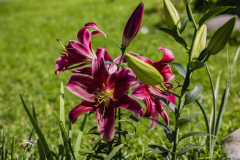Image00020_1200h800