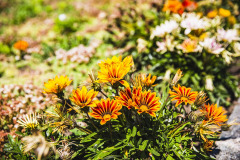Image00031