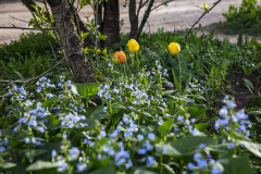Image00040