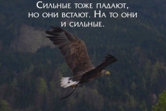 Image00001