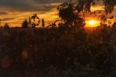 Image00009