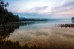 Image00011