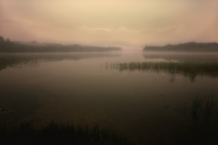 Image00013