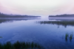 Image00014