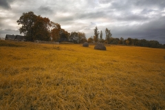 Image00016