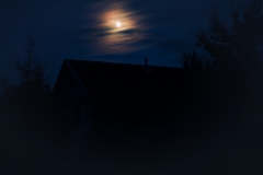 Image00019
