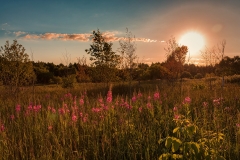 Image00024