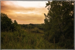 Image00032