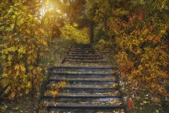 Image00038