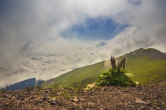 Image00044