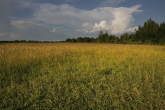Image00047