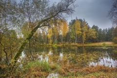 Image00061