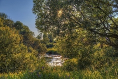 Image00070