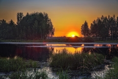 Image00074