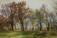 Image00076