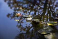 Image00077