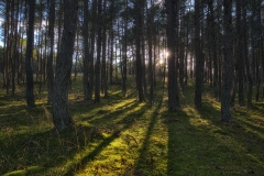 Image00082
